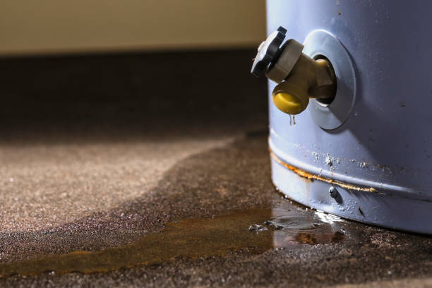 Best Sewage cleanup and water damage restoration  in Ridgewood, NJ