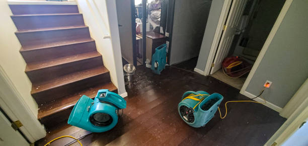 Best Water damage restoration specialists  in Ridgewood, NJ