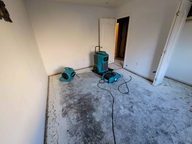 Best Water damage restoration process  in Ridgewood, NJ