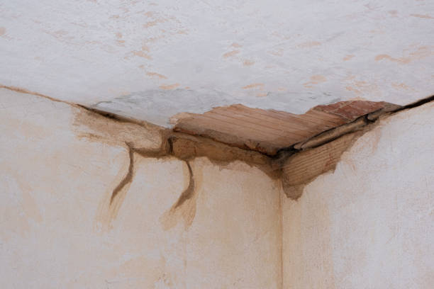 Best Flooded house restoration  in Ridgewood, NJ