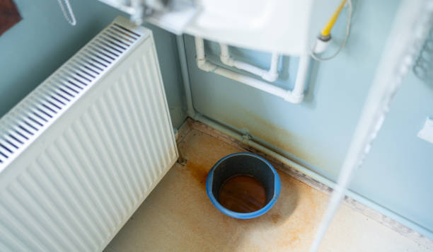 Best Carpet water damage restoration  in Ridgewood, NJ