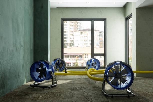 Best Flood restoration services  in Ridgewood, NJ